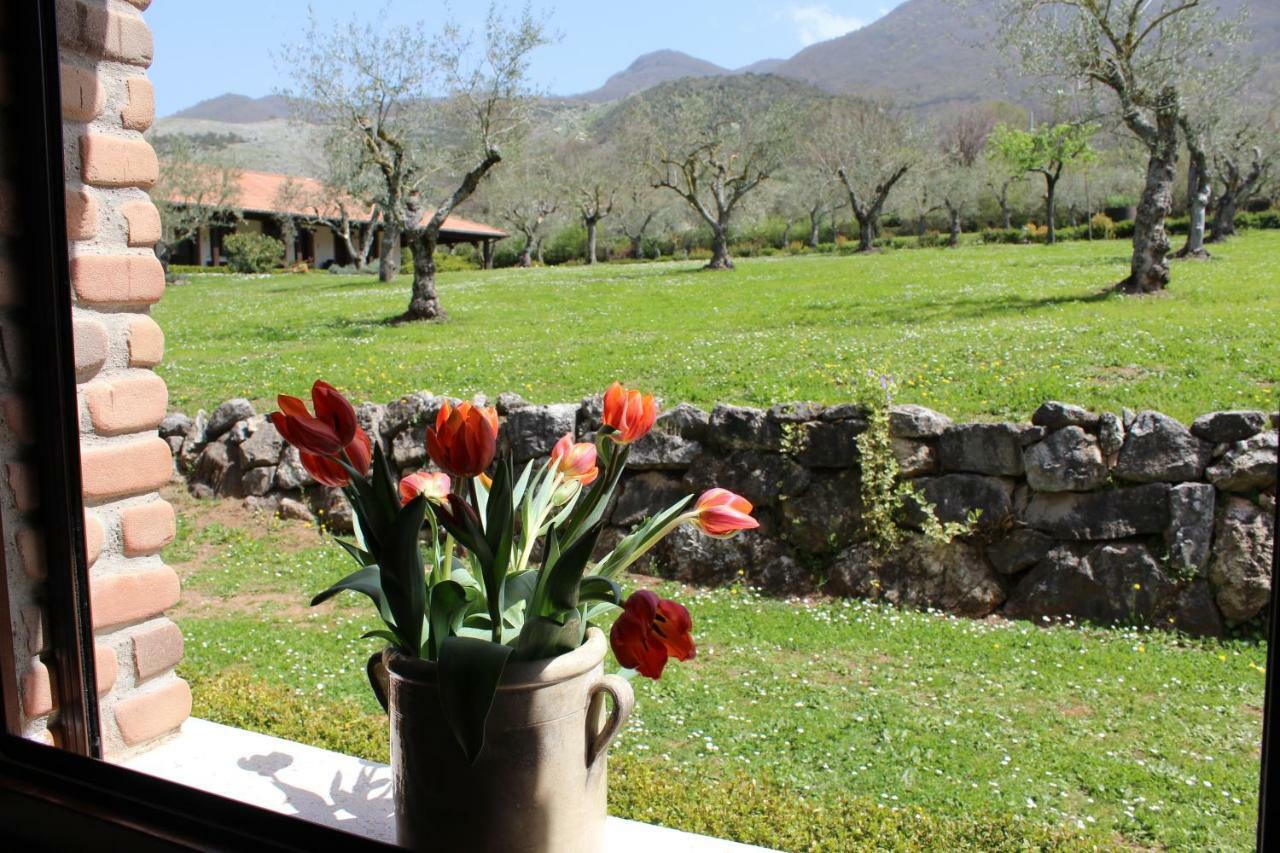 Agriturismo Il Castagneto 파둘라 외부 사진