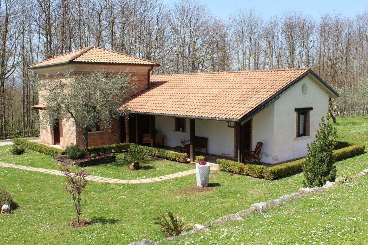 Agriturismo Il Castagneto 파둘라 외부 사진
