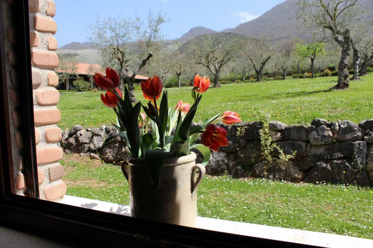Agriturismo Il Castagneto 파둘라 외부 사진