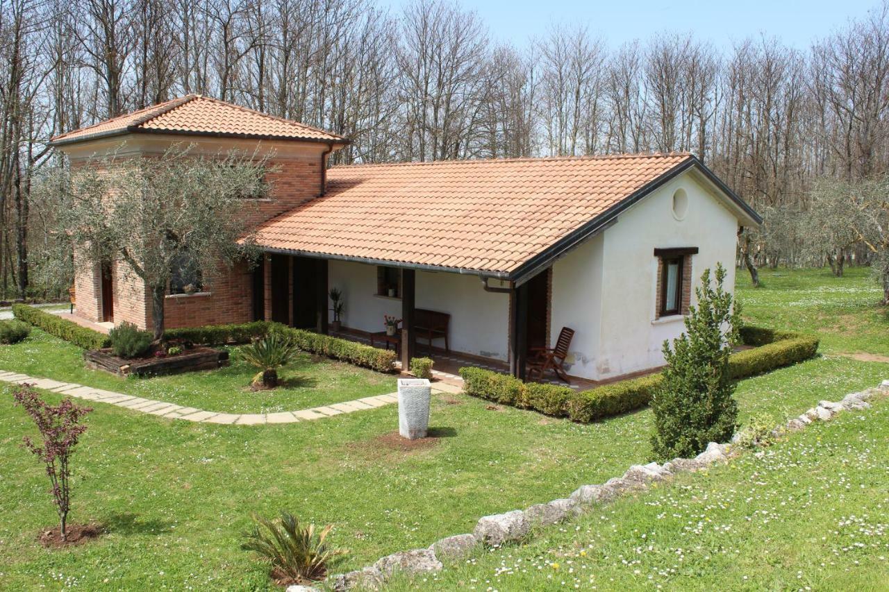 Agriturismo Il Castagneto 파둘라 외부 사진