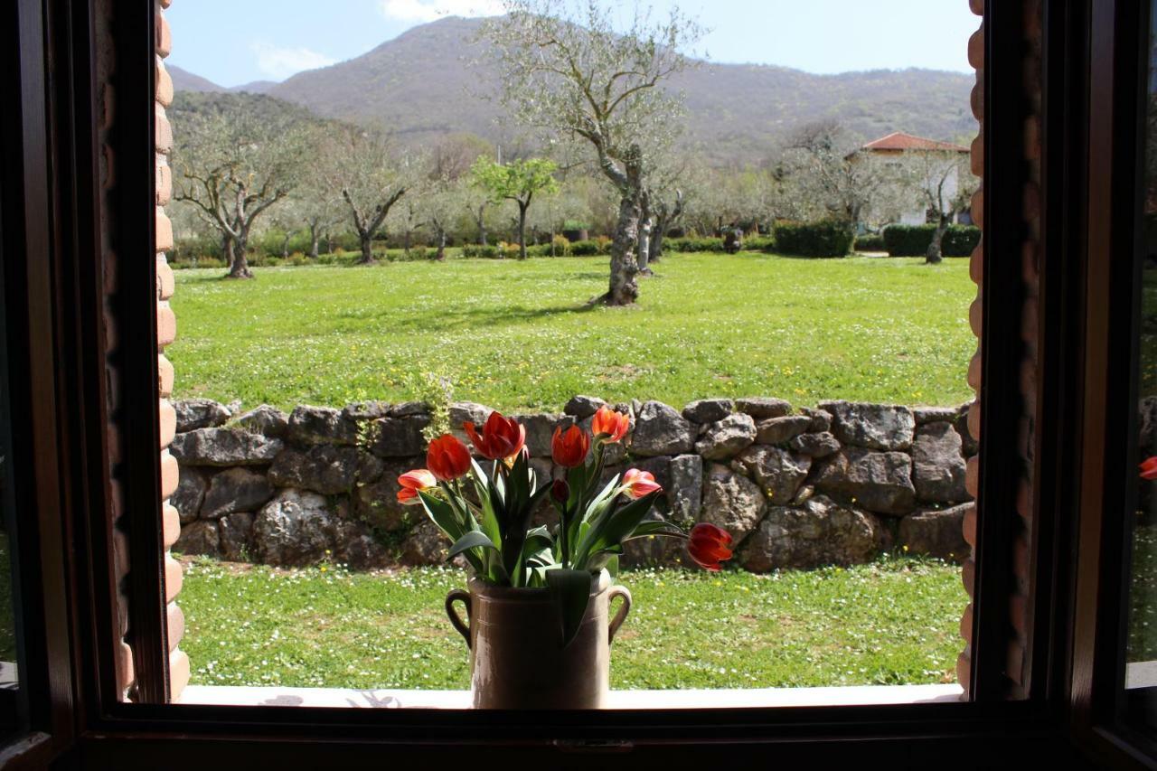 Agriturismo Il Castagneto 파둘라 외부 사진